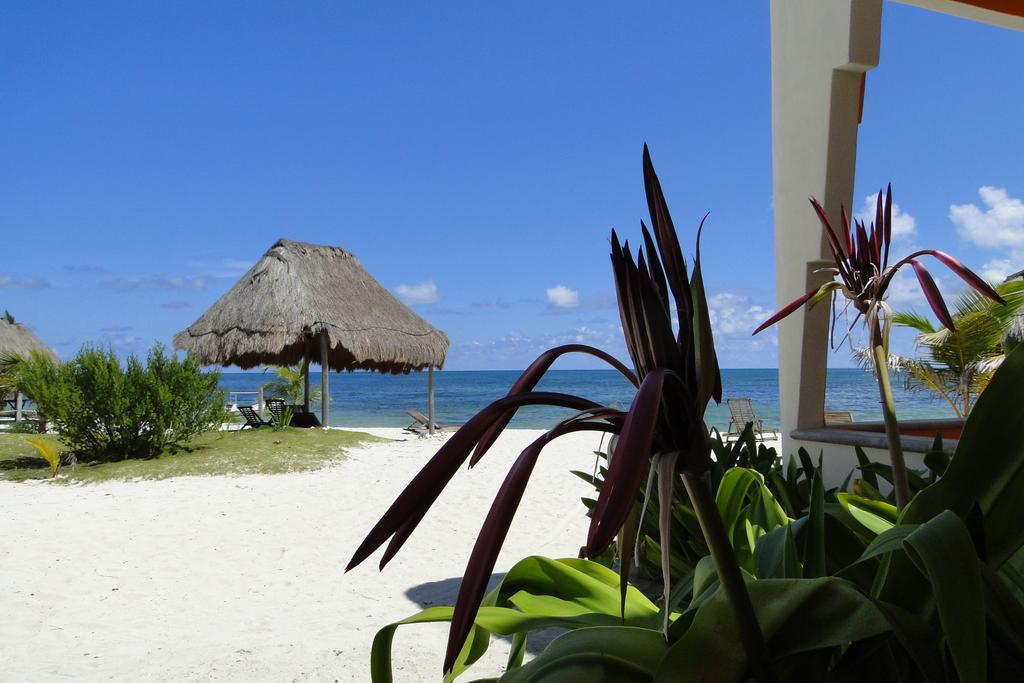 Mayan Beach Garden El Placer Εξωτερικό φωτογραφία
