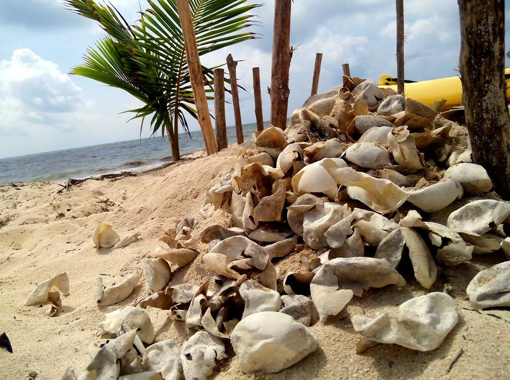 Mayan Beach Garden El Placer Εξωτερικό φωτογραφία